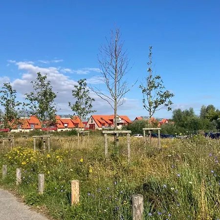 Bades Huk Haus 3 10 - Eg Apartment *